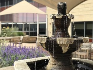 I have learned the hard way not to take a single minute for granted…