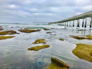 Grieving, Healing and Hoping – Part 3-Hope: Two Things that Help Restore a Broken Soul